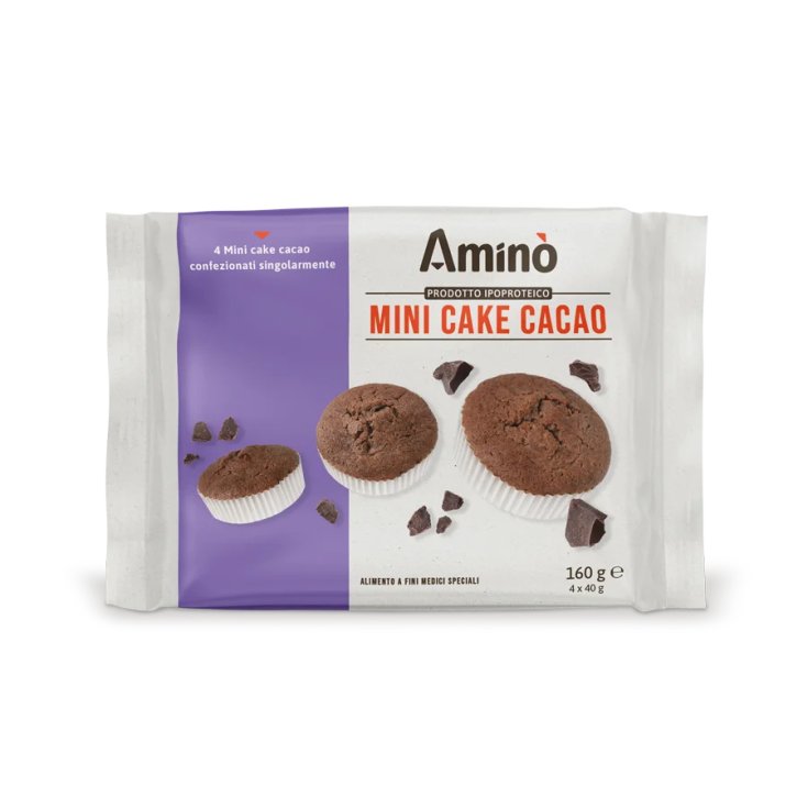 Mini Cake Cacao Aminò 160g