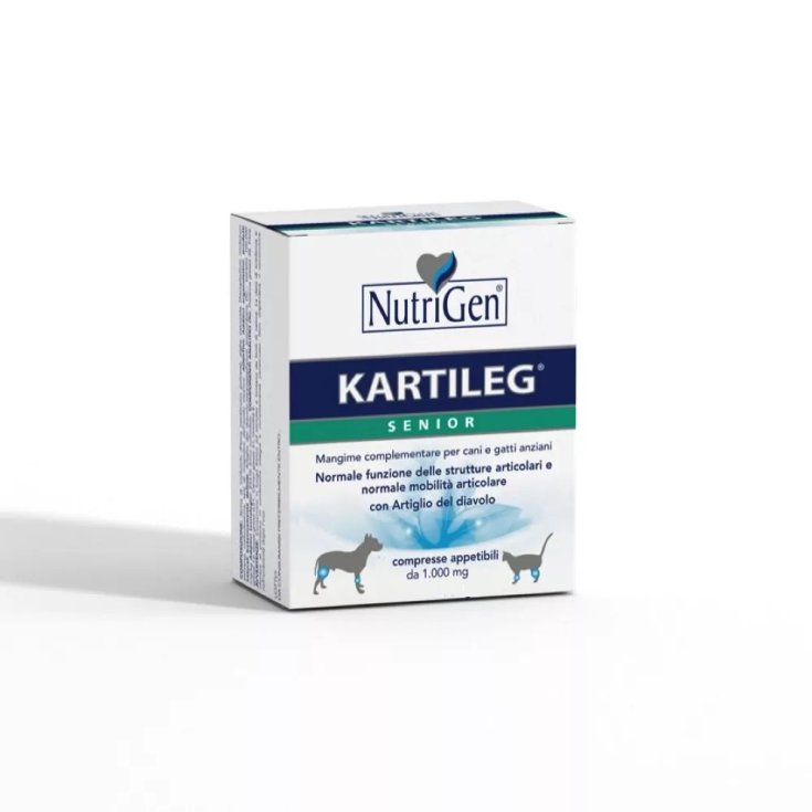 Kartileg Senior - 300X1GR