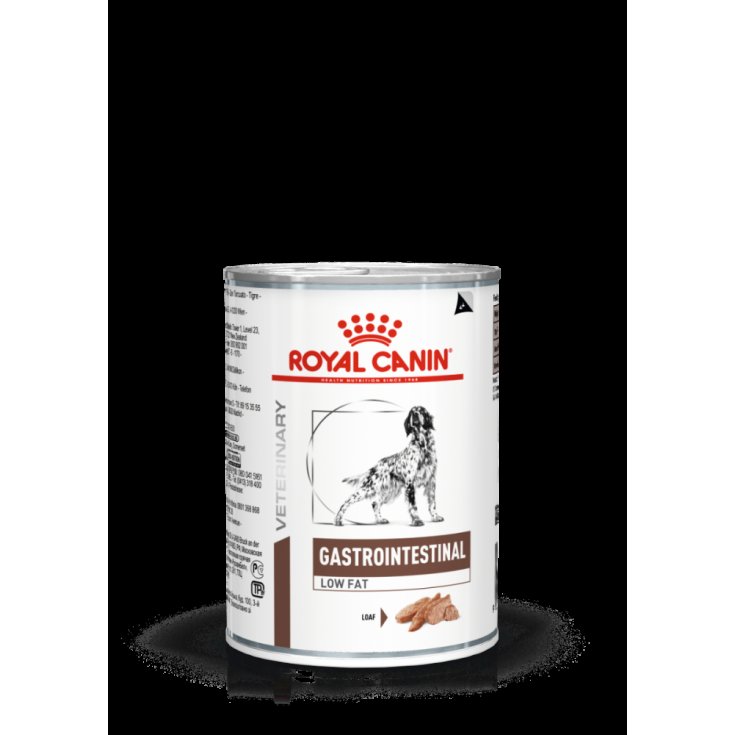 Veterinary Diet Gastrointestinal Low Fat - 420GR