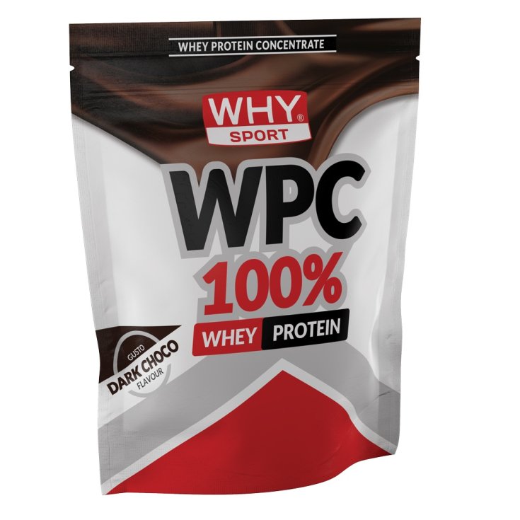 WPC 100% Whey Protein Dark Choco WHY Sport 1Kg