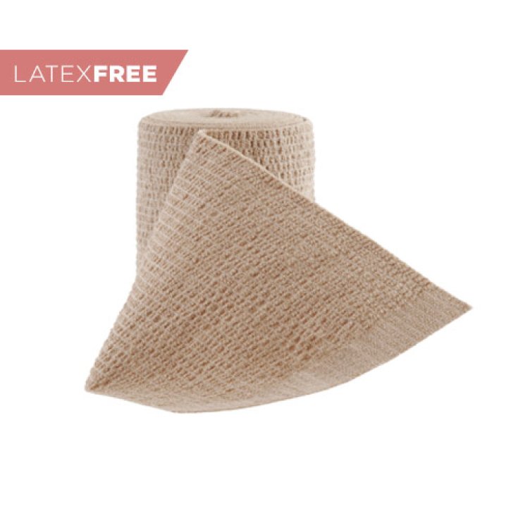 MF Forte 12x700 Move&Find 1 Pezzo