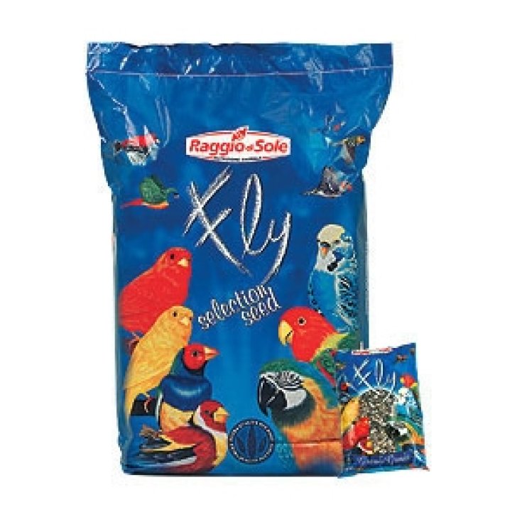 Girasole Striato Grande - Raggio di Sole Mangimi 500g