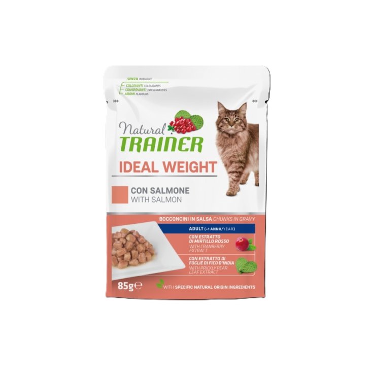 Ideal Weight con Salmone Natural Trainer Cat 85g