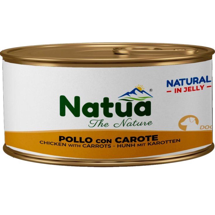 540 Dog Jelly Pollo/Carote NATUA 85g