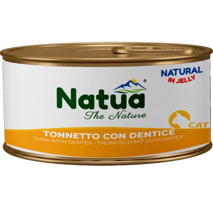 09  Cat Jelly Tonnetto Con Dentice Natua 85g
