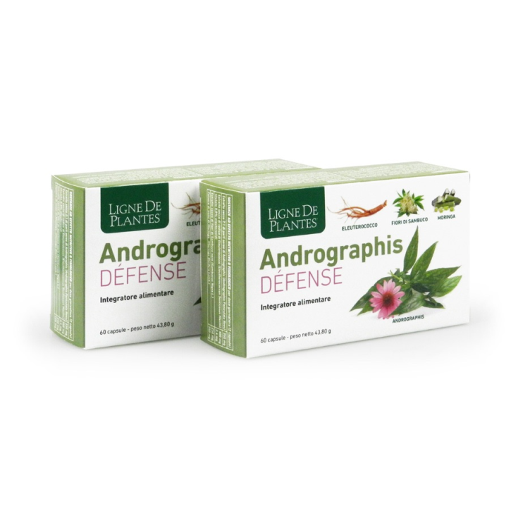 Andrographis Défense Ligne De Plantes 60 Capsule