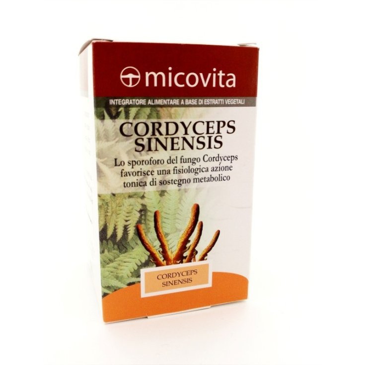 Cordyceps Sinensis Micovita 60 Capsule
