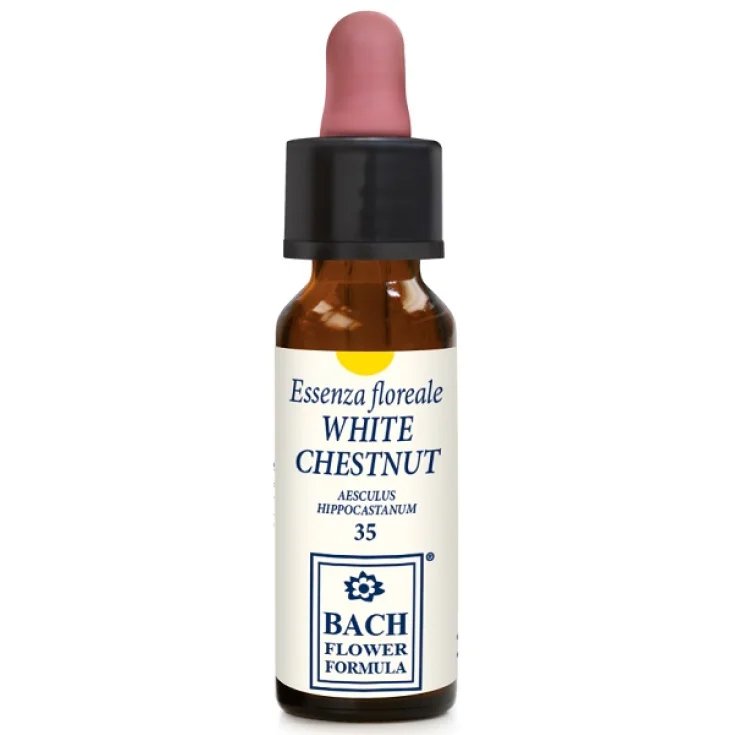 White Chestnut Original 10ml