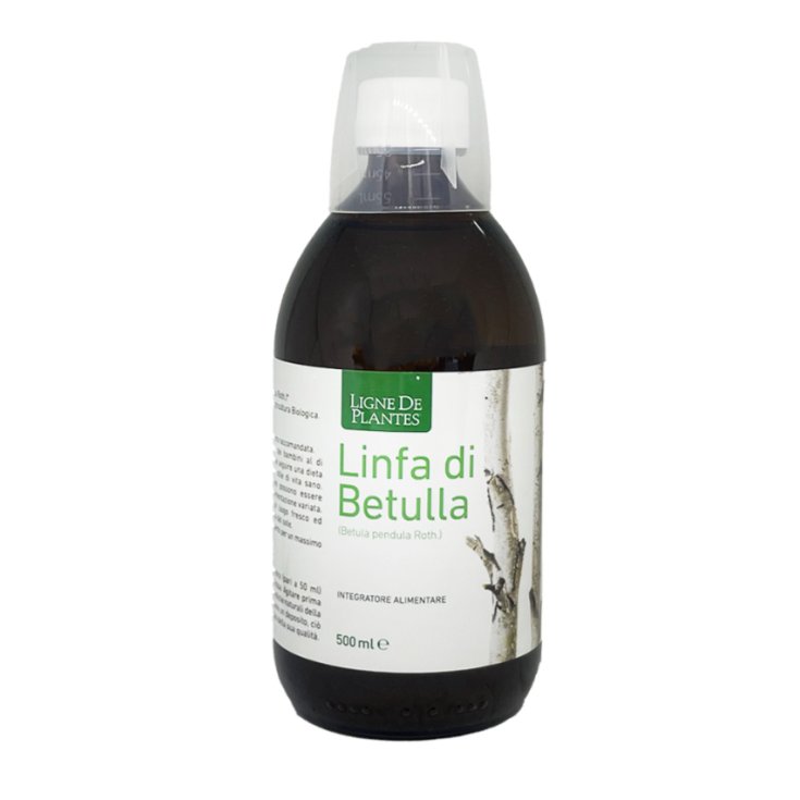 Linfa di Betulla 500ml