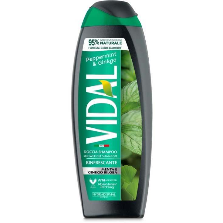 Doccia Shampoo Menta & Ginkgo Vidal 250ml