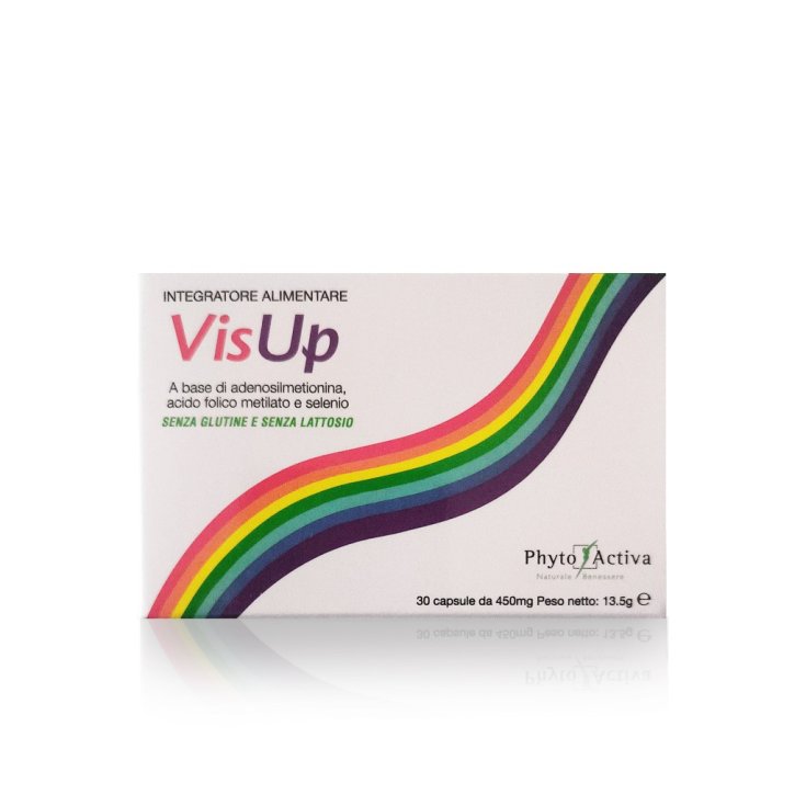 VisUp Phyto Activa 30 Capsule