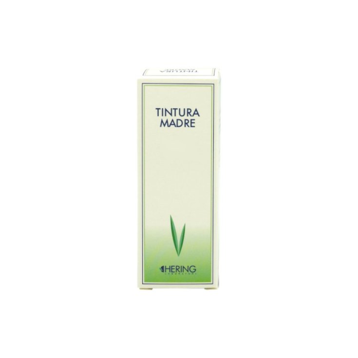 Arnica Montana TM Hering 60ml