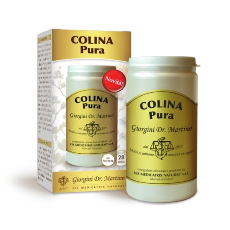 COLINA Pura Polvere Solubile Dr.Giorgini 100g