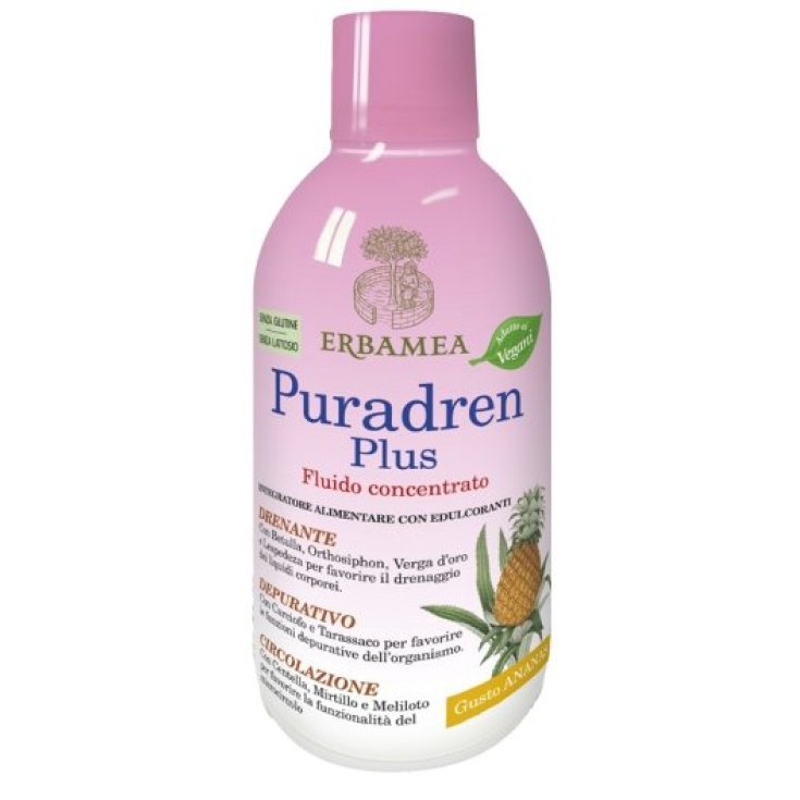 Puradren Pus Ananas 500ml