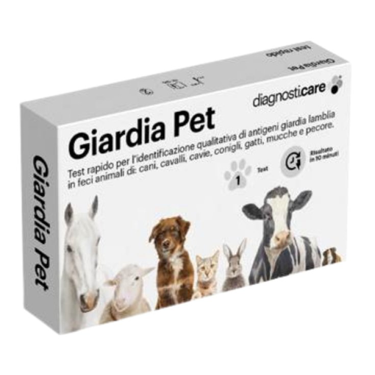 Test Giardia Pet Diagnosticare