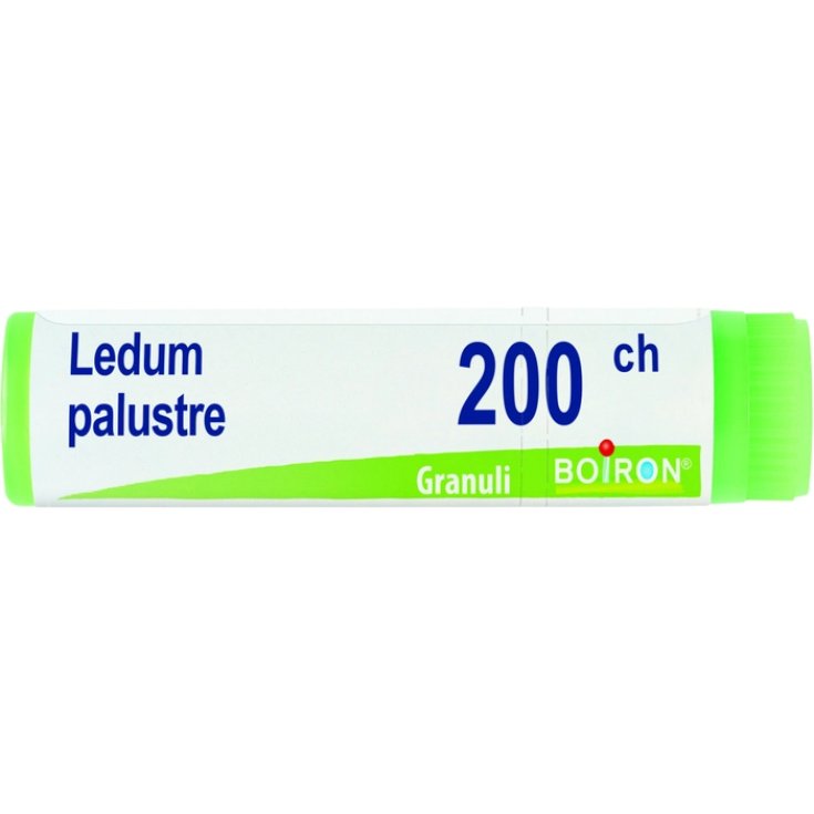 Ledum Palustre 200CH Boiron Granuli 4g