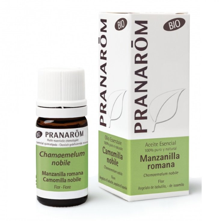 Camomilla Nobile OE PRANARÕM 5ml