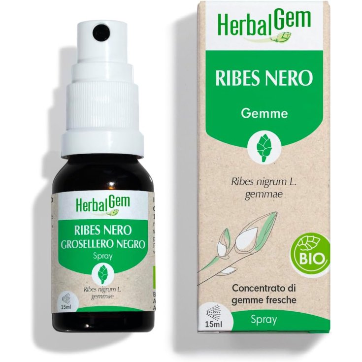 Ribes Nero Bio Spray HerbalGem 15ml