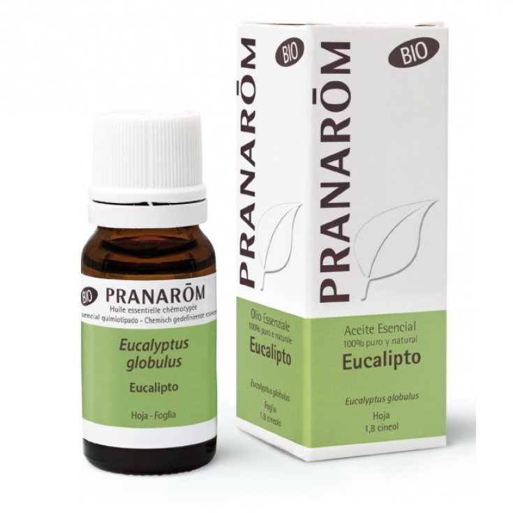 Eucalipto OE PRANARÕM 10ml