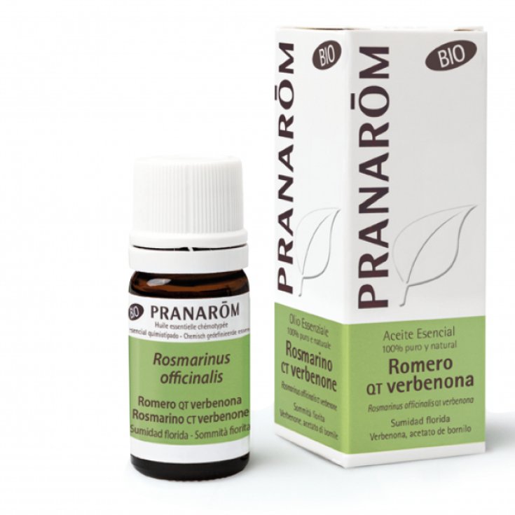 Rosmarino CT Verbenone OE Bio PRANARÕM 5ml