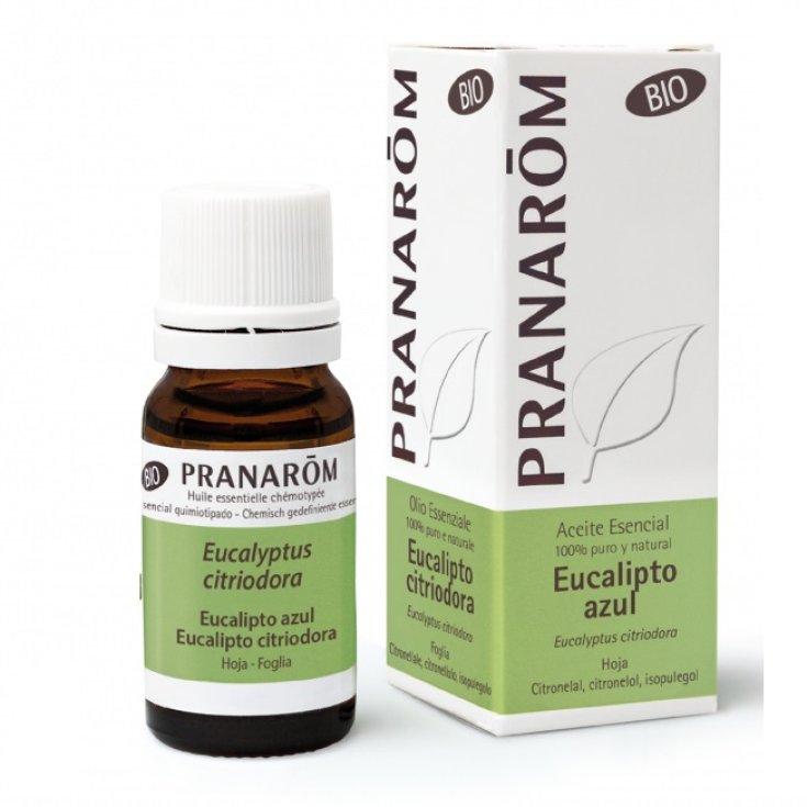 Eucalipto Citriodora OE PRANARÕM 10ml