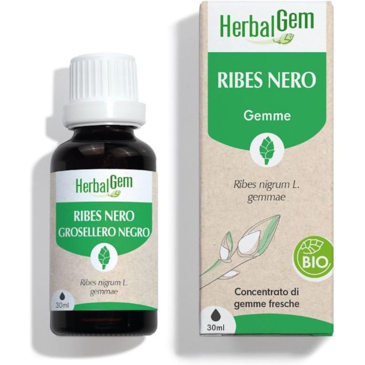 Ribes Nero Bio HerbalGem 30ml