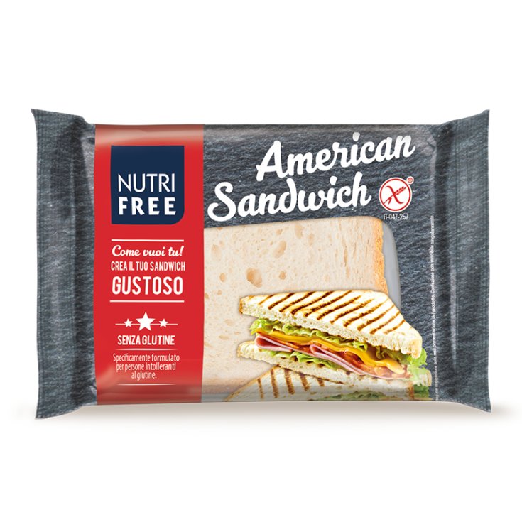 American Sandwich NutriFree 240g