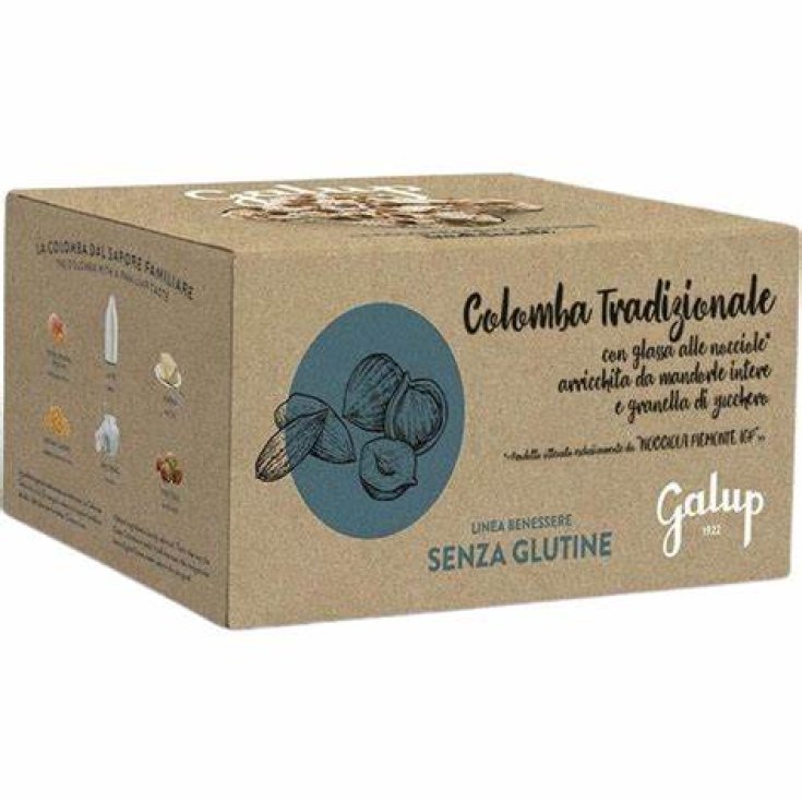 Colomba Tradizionale Galup 400g