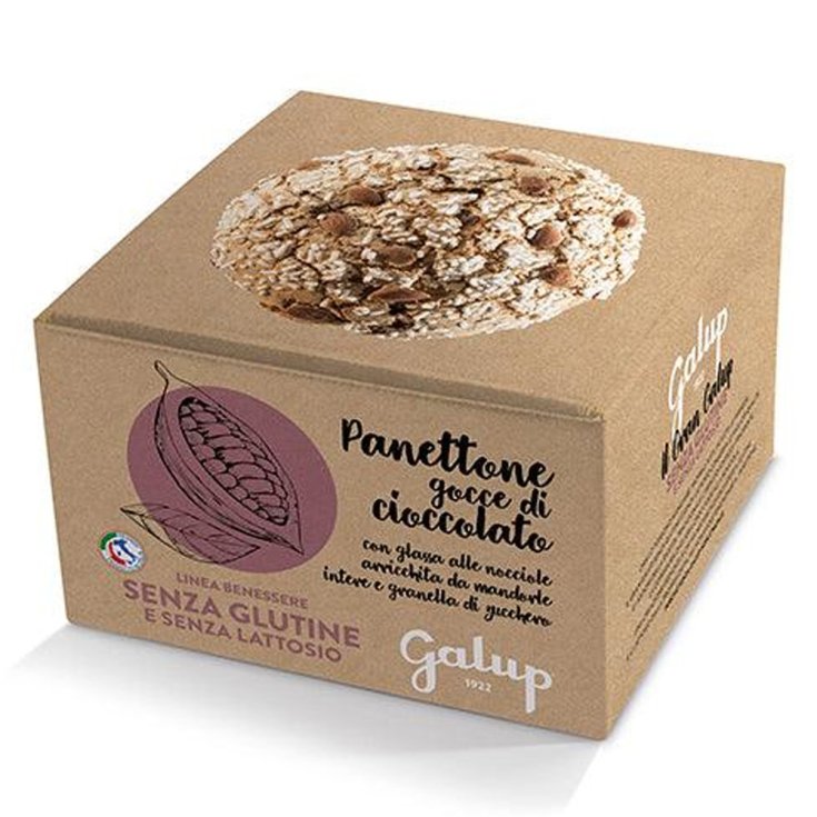 Panettone Gocce Di Cioccolato Galup 400g