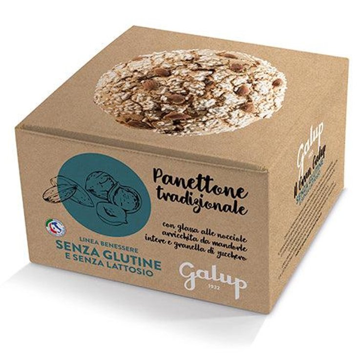 Panettone Tradizionale Galup 400g