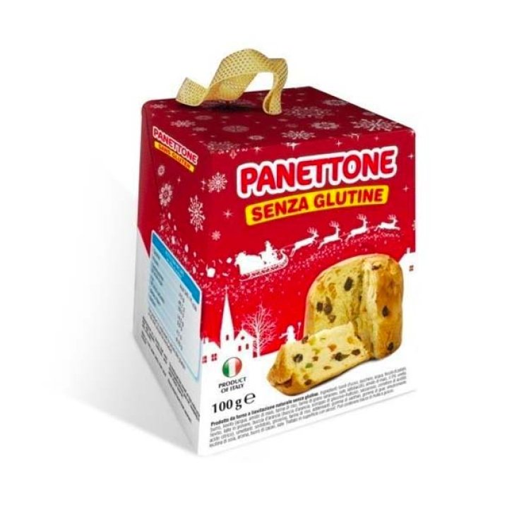 Panettone Novaldo 100g