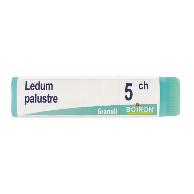 Ledum Palustre 5CH Boiron Globuli 1g