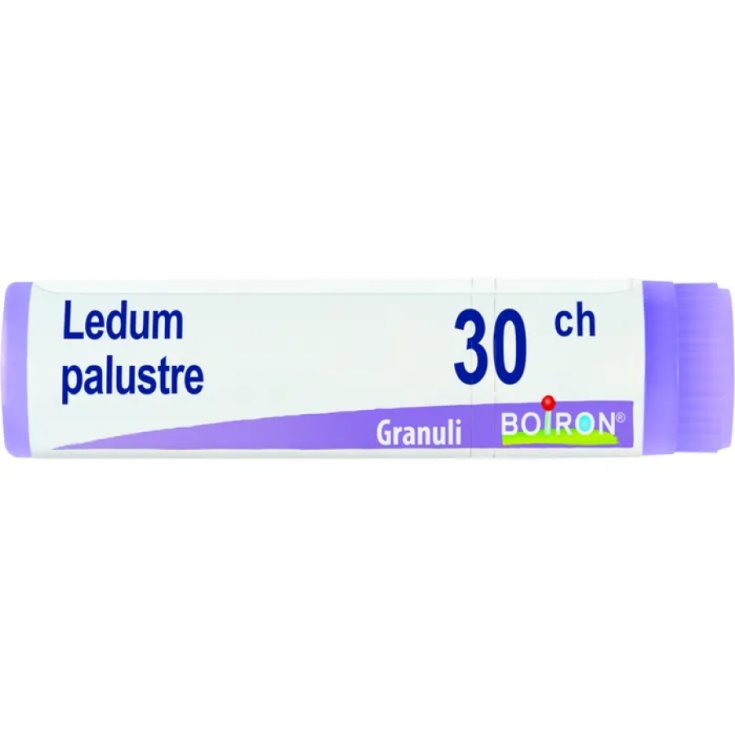 Ledum Palustre 30CH Boiron Globuli 1g