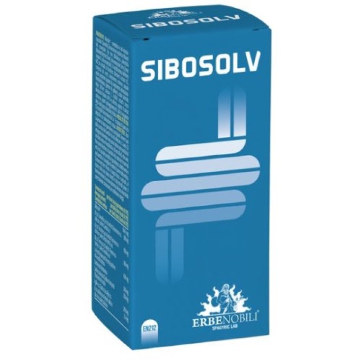 SIBOSOLV 60 Capsule Gastroresistenti