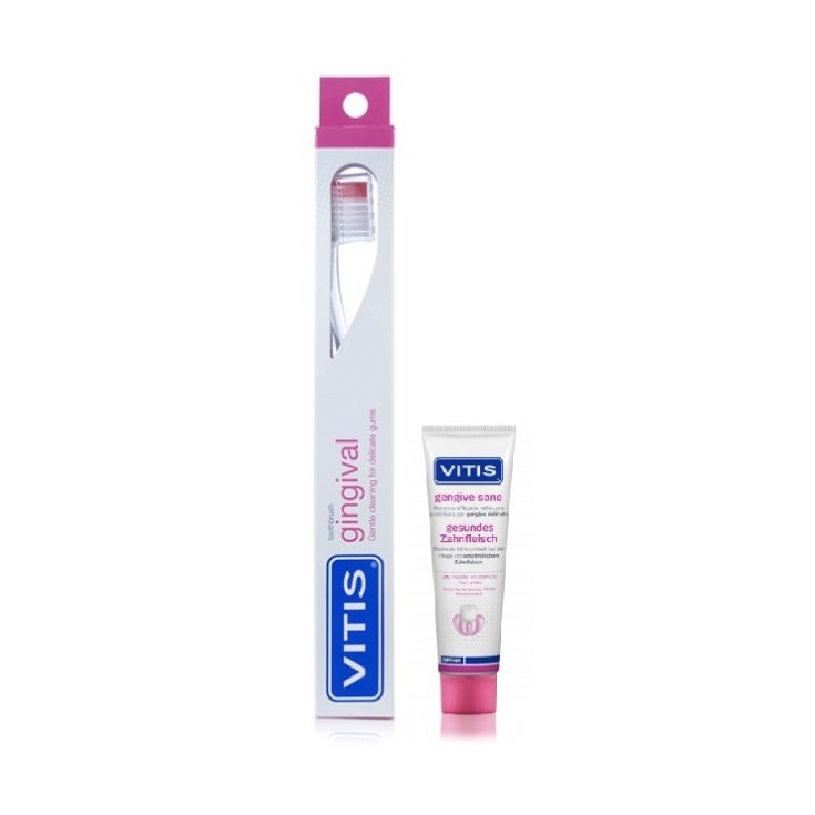 Gingival Spazzolino + Dentifricio Gengive Sane 15ml Vitis 