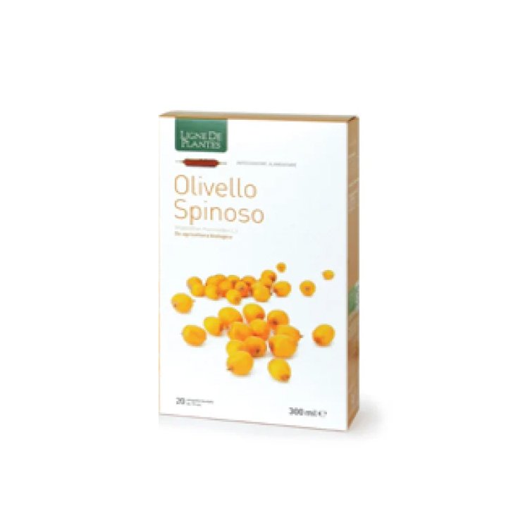 Olivello Spinoso Bio Ligne De Plantes 20 Ampolle