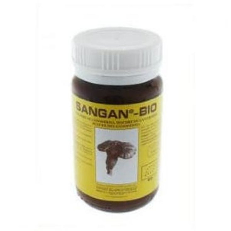 Samgan Polvere Ganoderma 45g