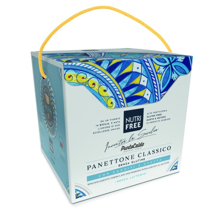 Panettone Classico con Uvetta e Canditi NutriFree 450g