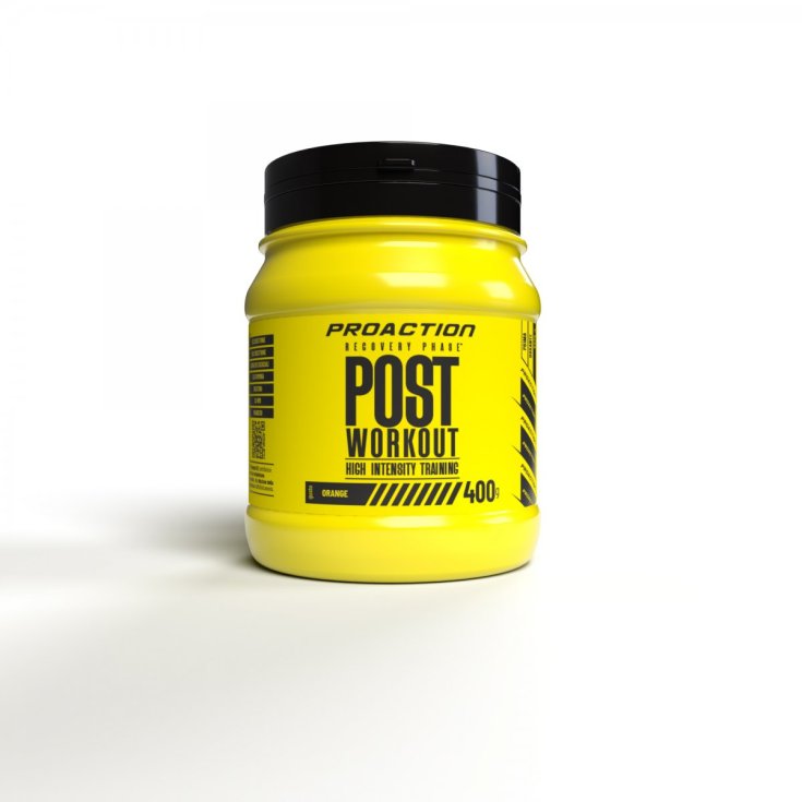 Post Workout ProAction 400g