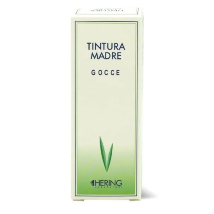 Hamamelis Virginiana TM Hering 30ml