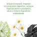 Colours Of Life Gonfiore Tripla Azione Optima Naturals 60 Capsule Vegetali