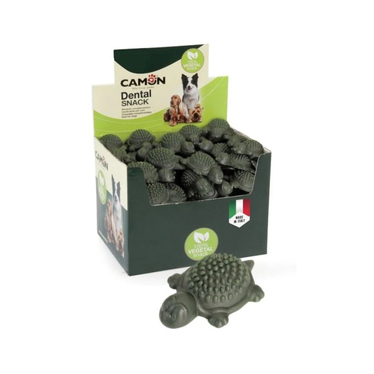 Tartaruga Verde Snack per Cani CAMON Box 40x20g