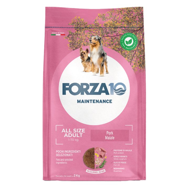 All Size Adult Maiale Forza10 12kg