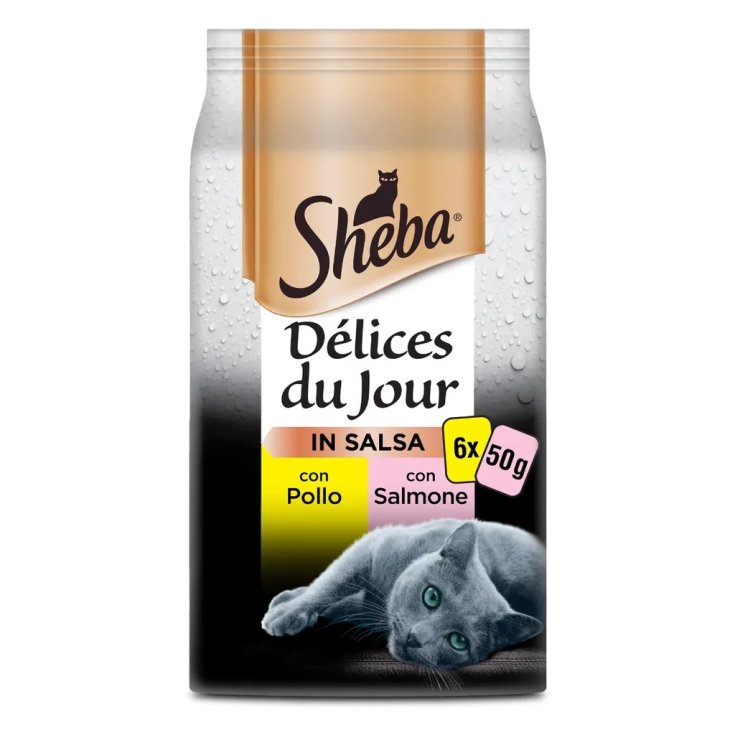 D&eacute;lices Du Jour Pollo e Salmone in Salsa Sheba 6x50g