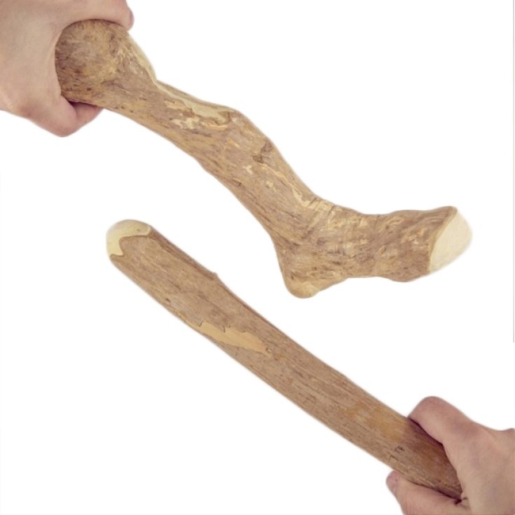 Legno da Masticare Albero del Caff&egrave; - Medium - canophera gmbh