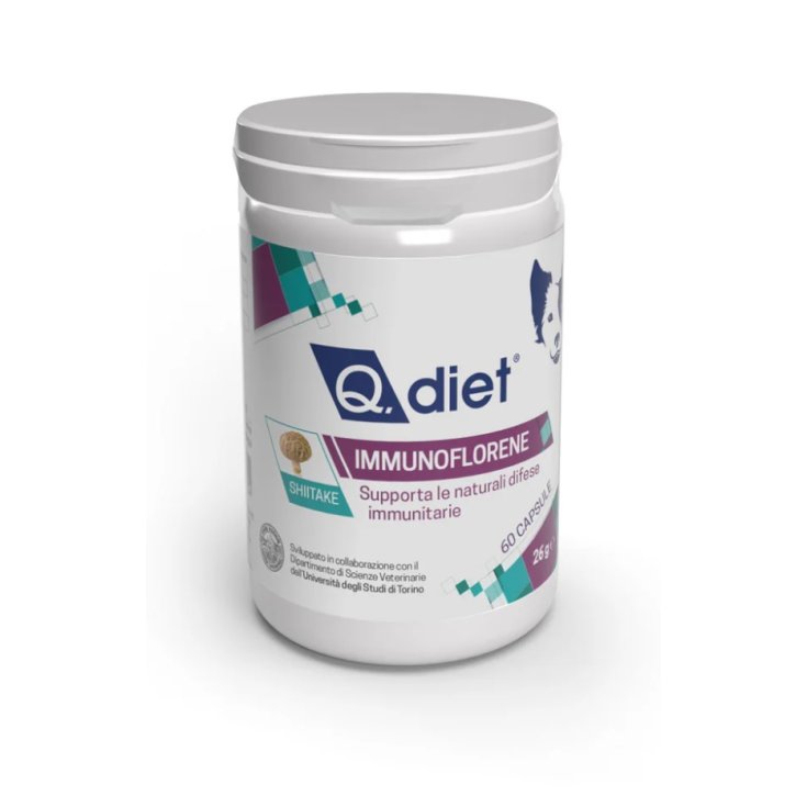 Immunoflorene Q.Diet 60 Capsule