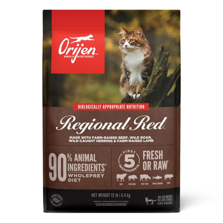 Regional Red Crocchette Manzo Angus/Cinghiale per Gatti Orijen 340g