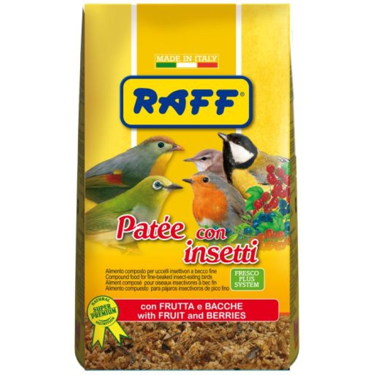 Patee Con Insetti Raff 400g