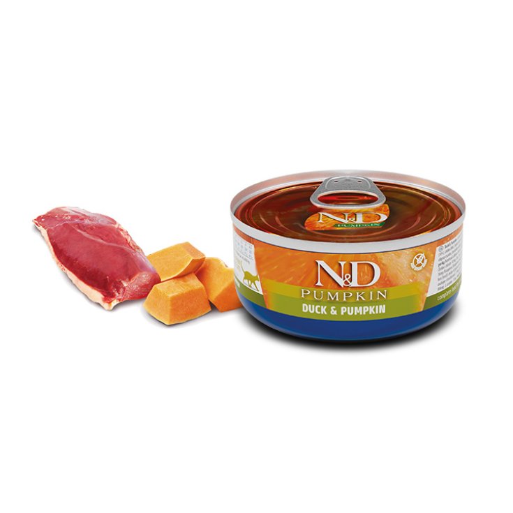 N&D Cat Duck & Pumpkin 70g