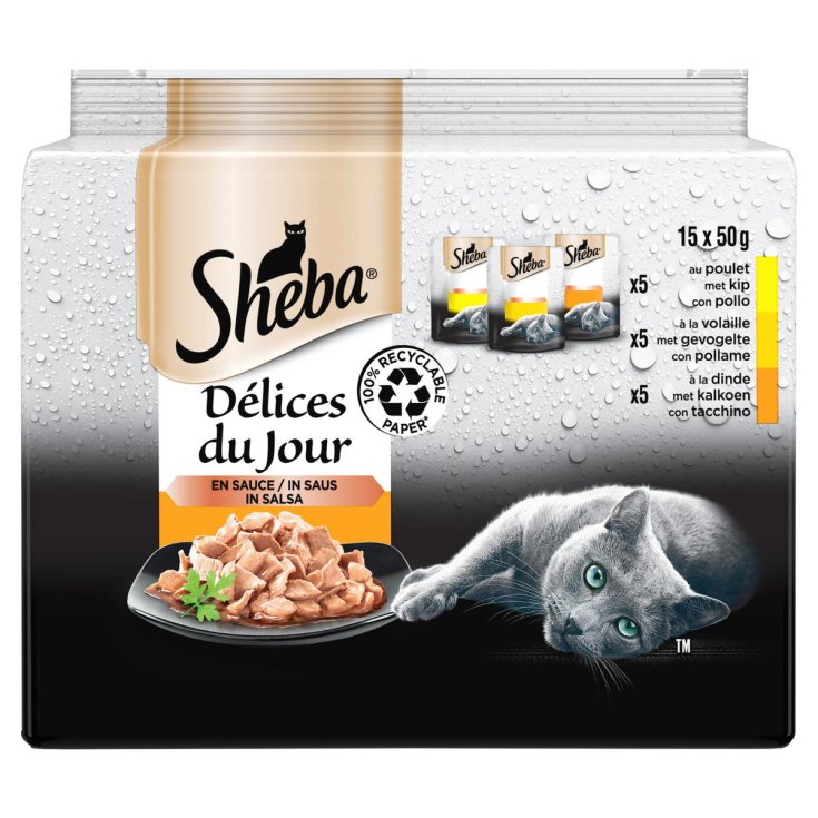 D&eacute;lices Du Jour Selezione Delicata In Salsa Sheba&reg; 15x50g